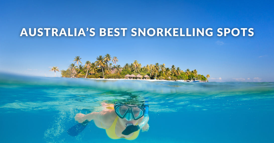 The Best Snorkelling Spots in Australia to Explore This Summer!
